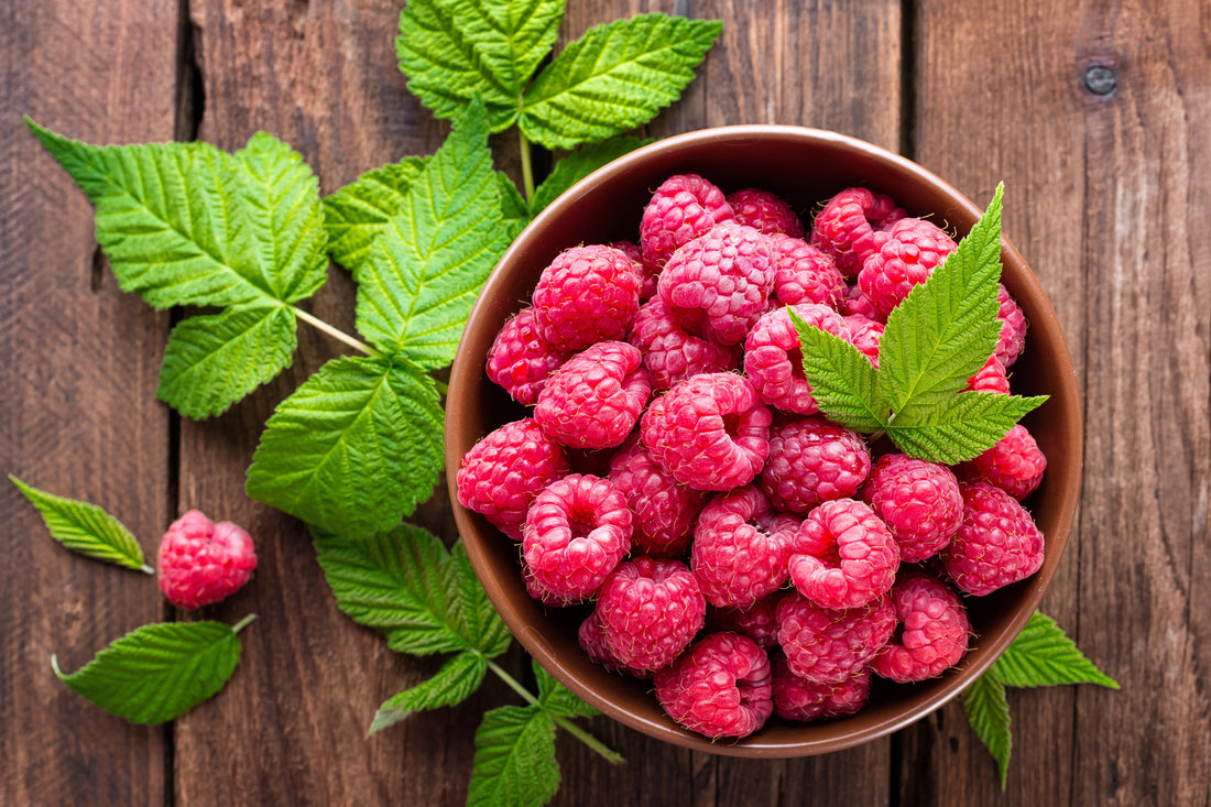 Discovering the Wonders of Raspberry Leaf: 5 Health Benefits and How to Harness Them