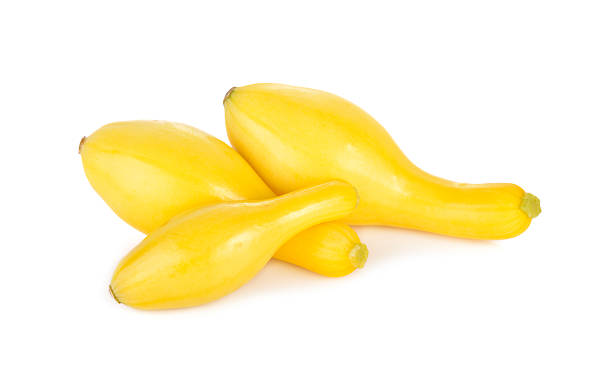 squash 